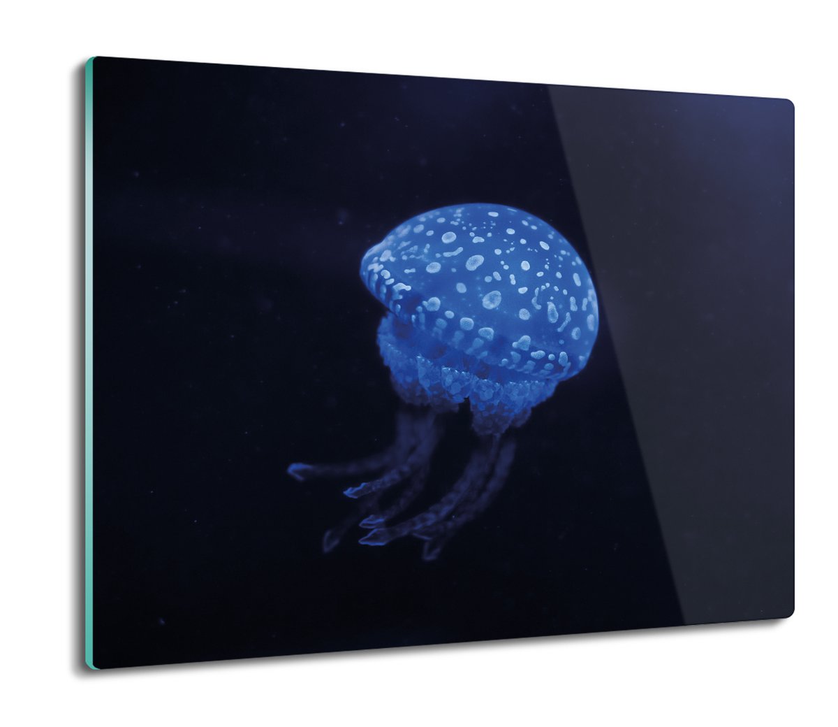 osłonka kuchenna szklana Meduza ocean woda 60x52, ArtprintCave
