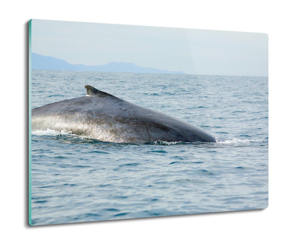 z nadrukiem osłonka z grafiką Ocean wieloryb 60x52, ArtprintCave