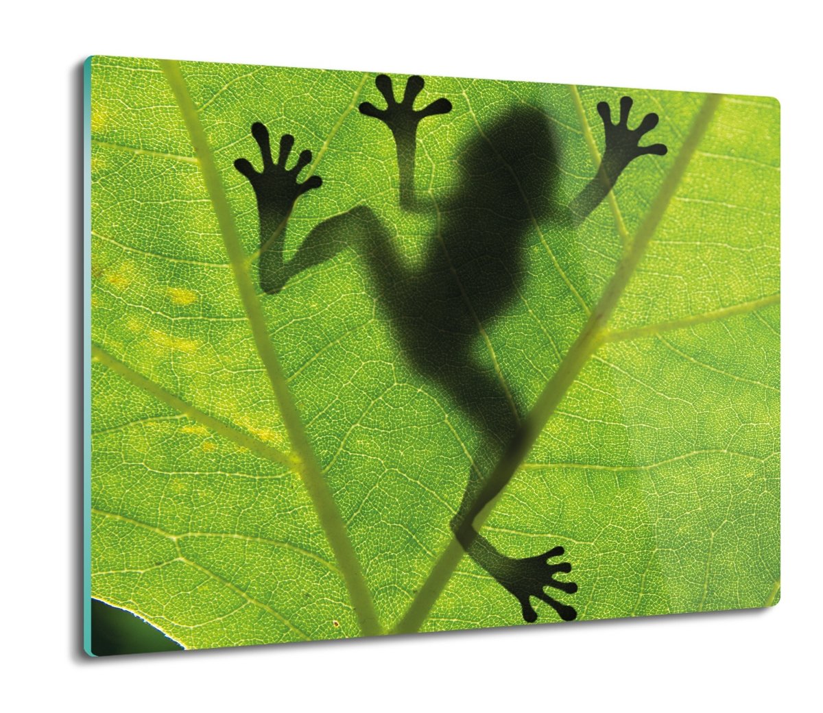 osłona do płyty indukcyjnej Żaba liść cień 60x52, ArtprintCave