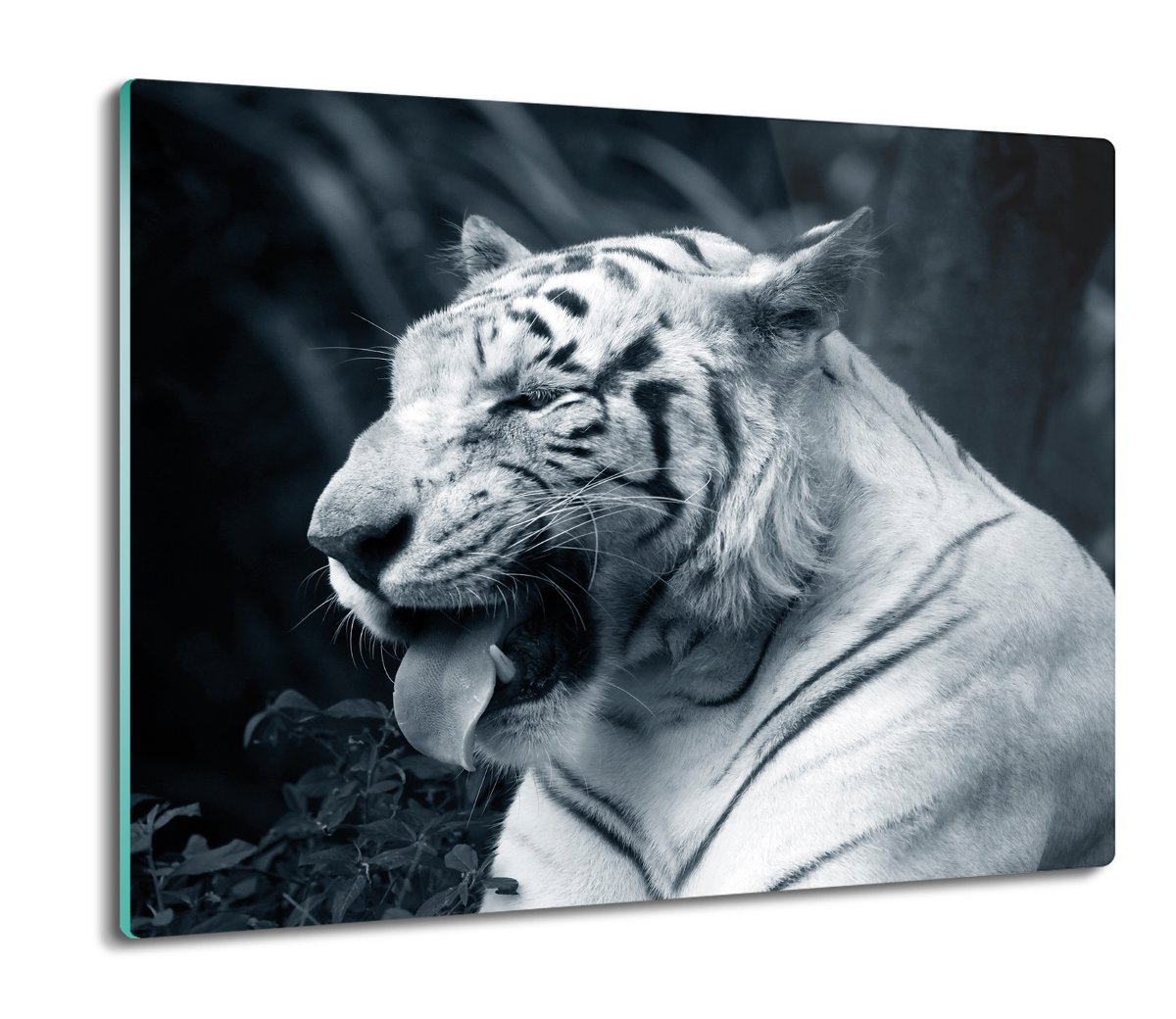 osłona na płytę indukcyjną druk Tygrys biały 60x52, ArtprintCave