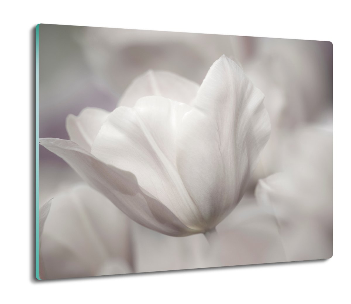 osłona na płytę indukcyjną Tulipan płatki 60x52, ArtprintCave