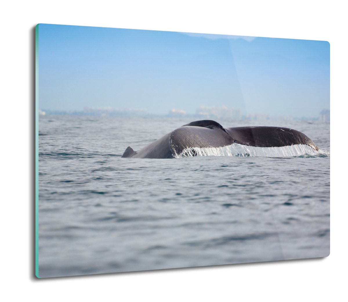 osłona splashback do kuchni Wieloryb ocean 60x52, ArtprintCave