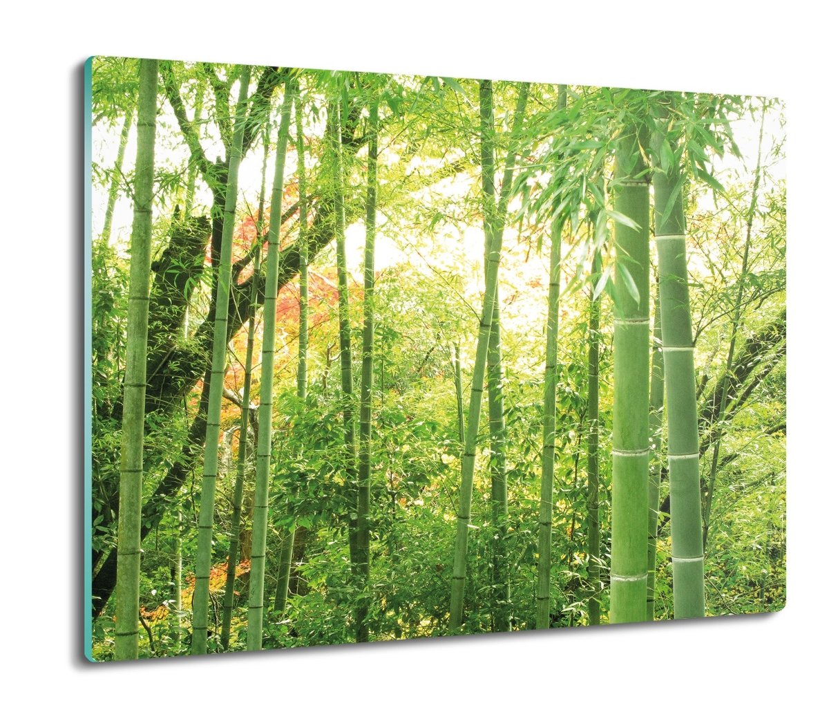 osłona płyty kuchennej Bambus las drzewa 60x52, ArtprintCave