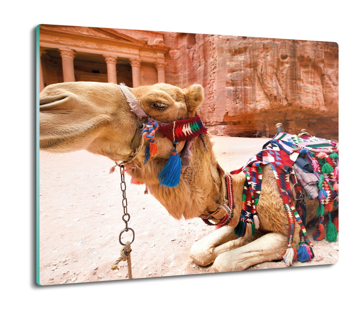 szklana osłonka z foto Wielbłąd świątynia 60x52, ArtprintCave