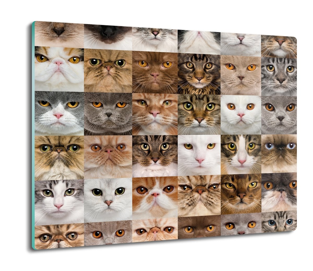 osłona do kuchenki z foto kot oczy głowa 60x52, ArtprintCave