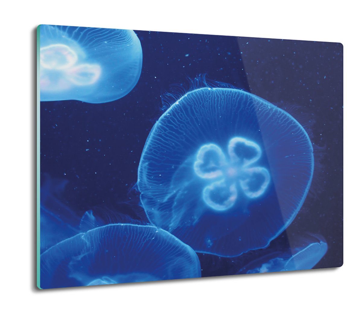 płyty ochronne na indukcję Meduzy woda ocean 60x52, ArtprintCave