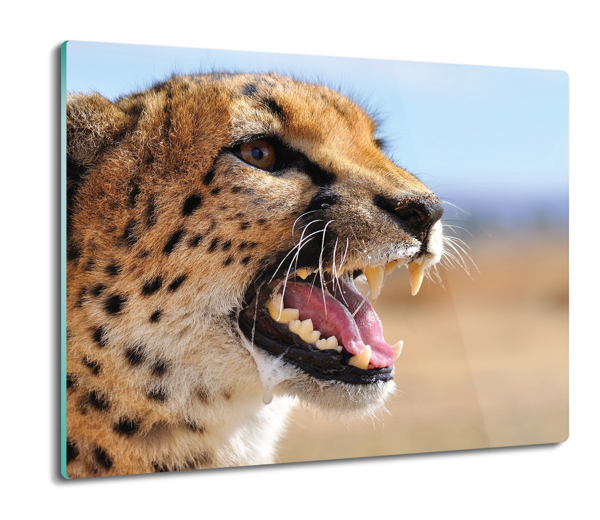 osłona do płyty indukcyjnej Gepard kot dziki 60x52, ArtprintCave