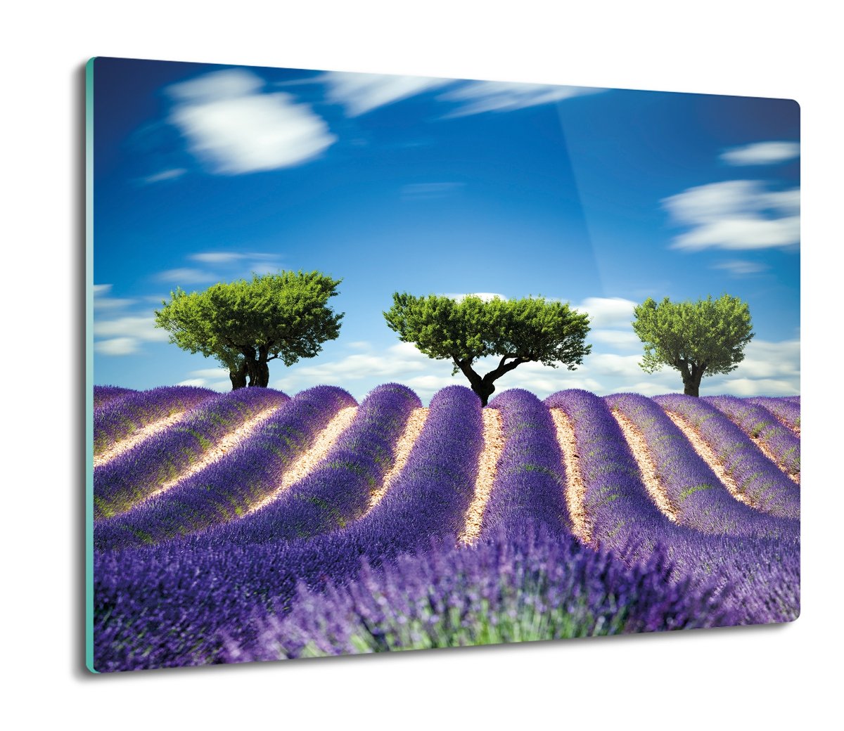 z foto osłona splashback Lawenda pole kwiaty 60x52, ArtprintCave
