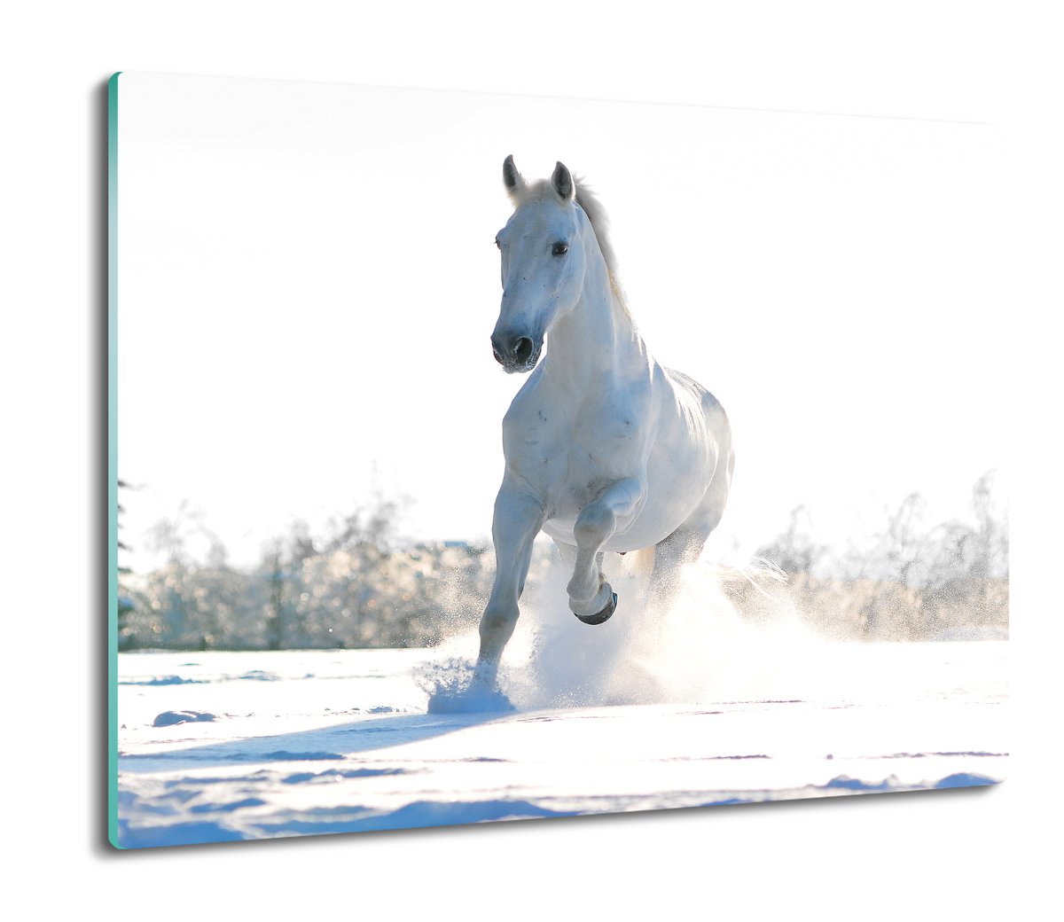 szklana osłonka z foto Koń galop zima śnieg 60x52, ArtprintCave