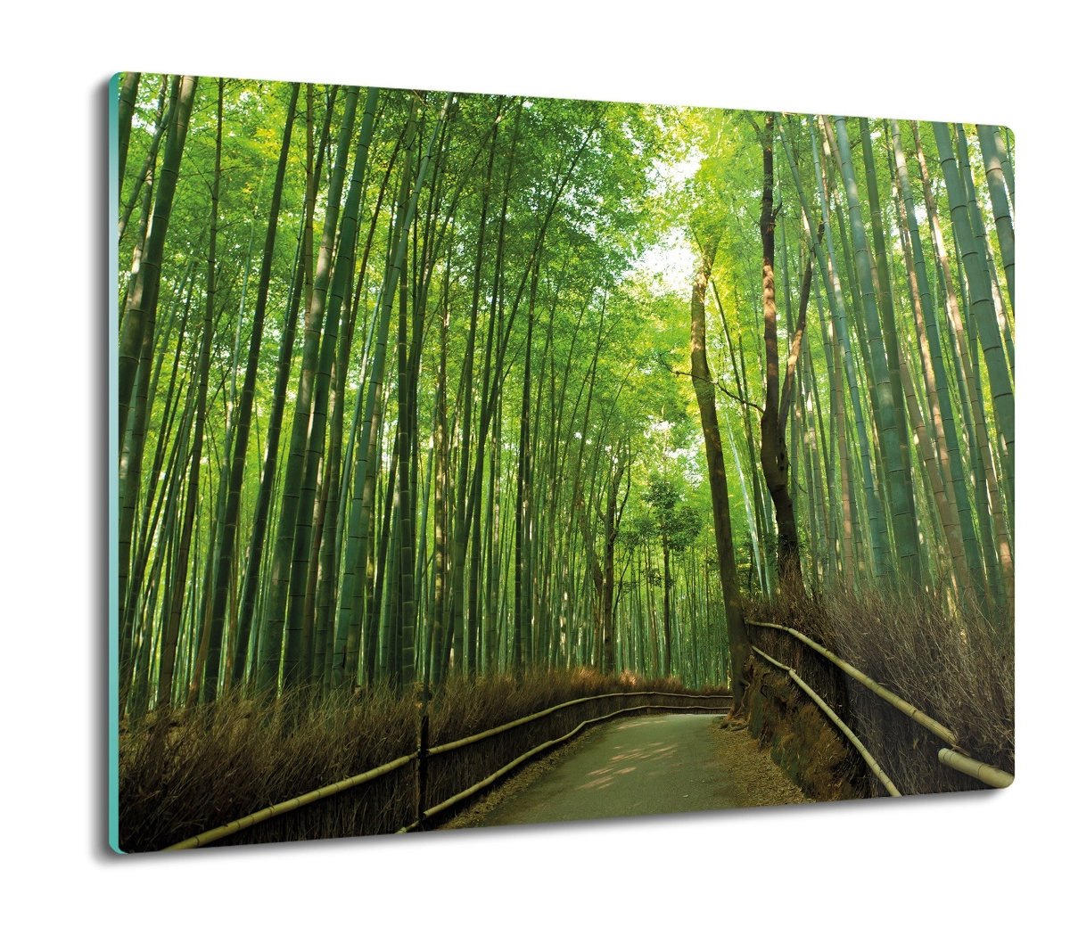 osłona na indukcję ze szkła Bambus las trawy 60x52, ArtprintCave