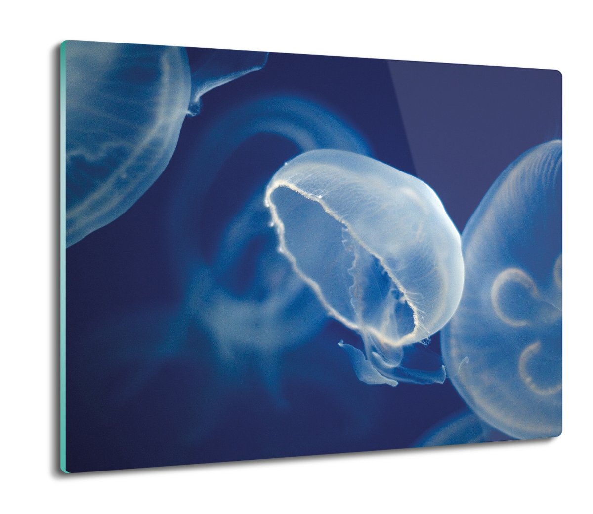 osłona do kuchenki z foto Świecące meduzy 60x52, ArtprintCave