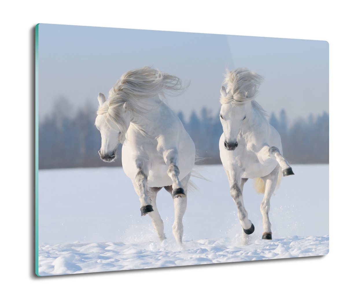 ochrona na indukcję druk Konie galop śnieg 60x52, ArtprintCave
