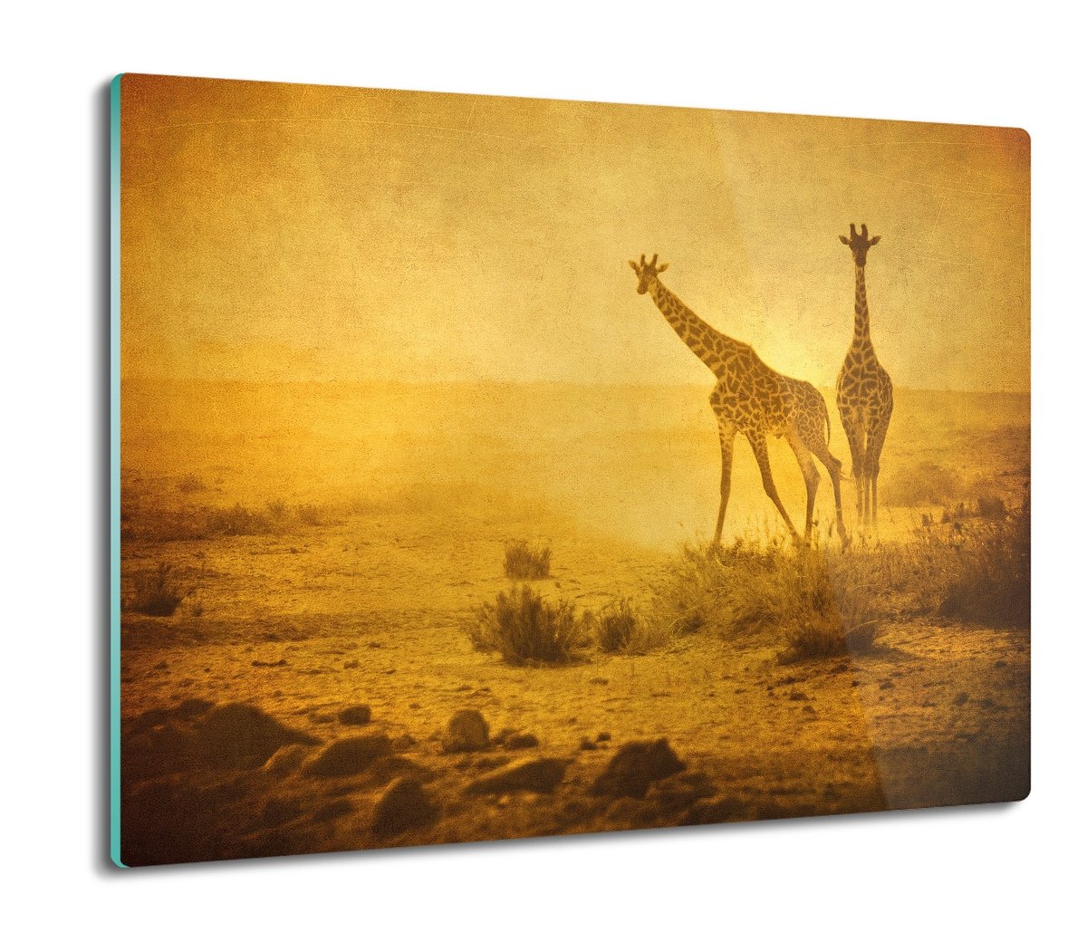 splashback z nadrukiem Żyrafy zachód natura 60x52, ArtprintCave