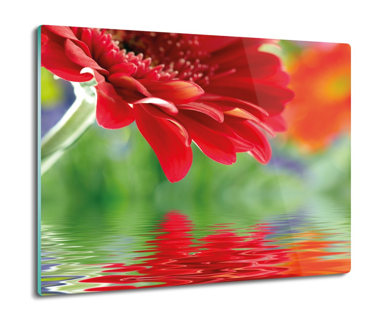 szklana osłonka ze szkła Gerber płatki woda 60x52, ArtprintCave