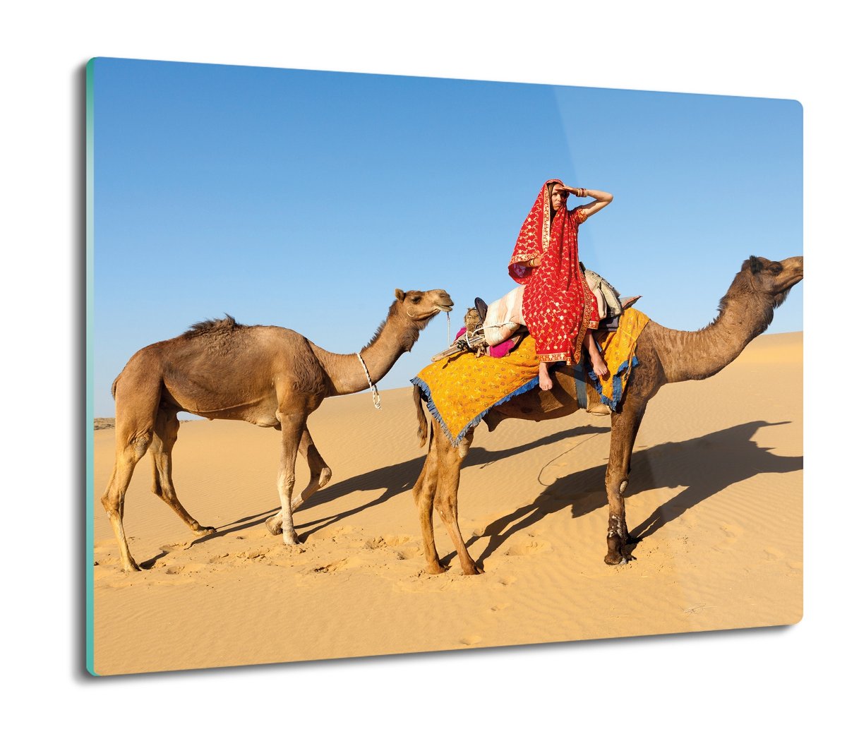 szklana osłona do kuchenki Wielbłąd pustynia 60x52, ArtprintCave