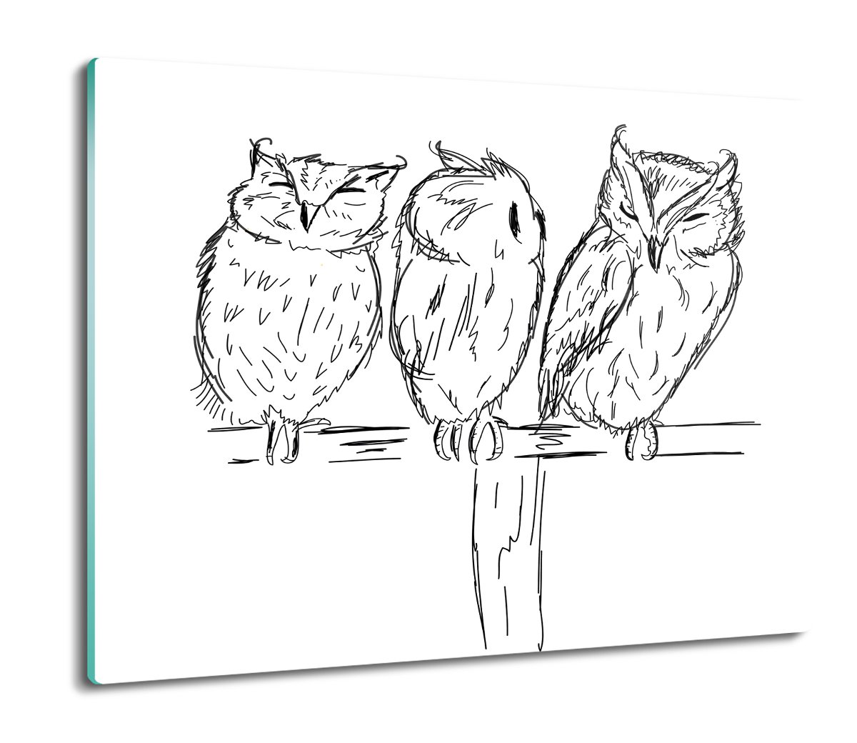 szklana osłona kuchenna Sowy ptaki grafika 60x52, ArtprintCave