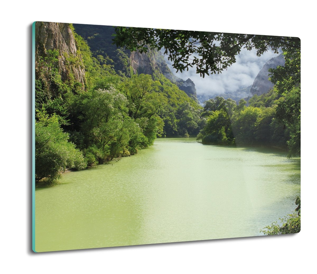 osłonka kuchenna ze szkła Dżungla las rzeka 60x52, ArtprintCave