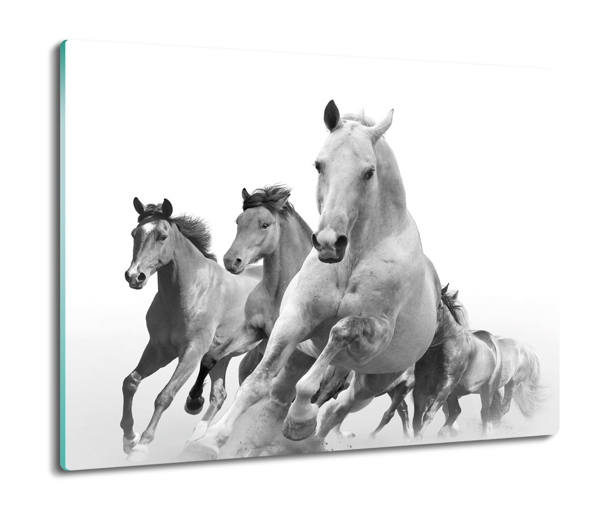 szklana deska splashback Białe konie galop 60x52, ArtprintCave