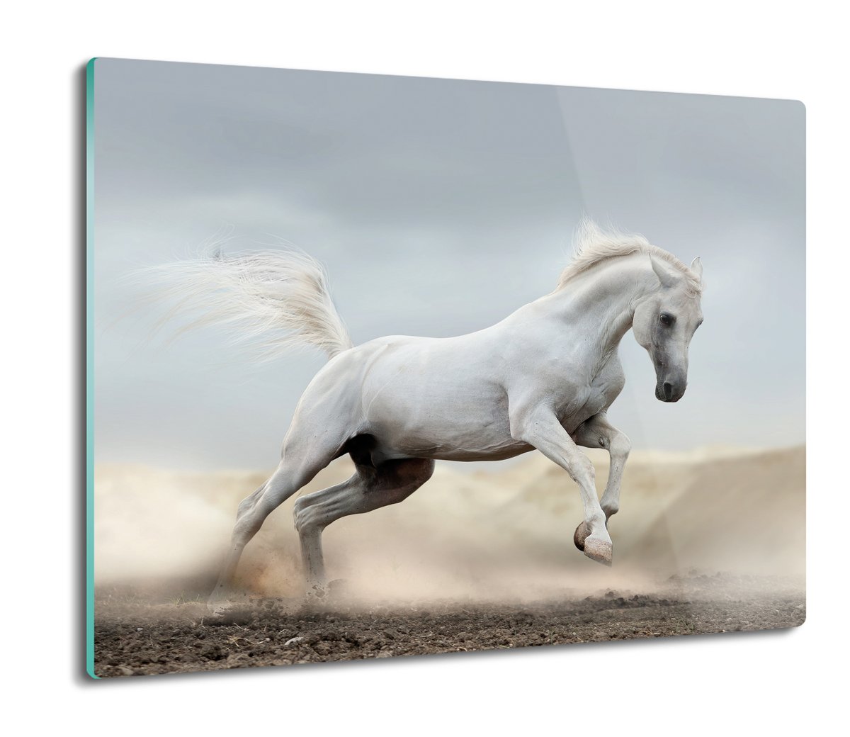 druk deska splashback z foto Biały koń galop 60x52, ArtprintCave