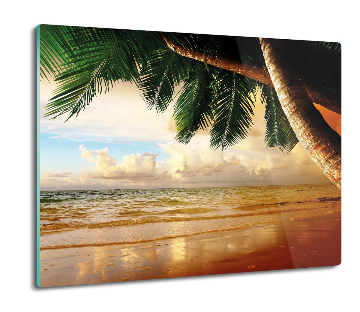 szklana osłona kuchenna Plaża palma morze 60x52, ArtprintCave