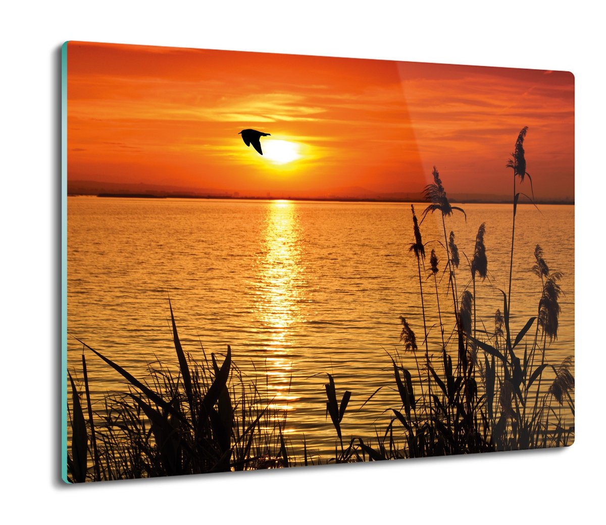 płyty ochronne na indukcję Woda słońce ptaki 60x52, ArtprintCave