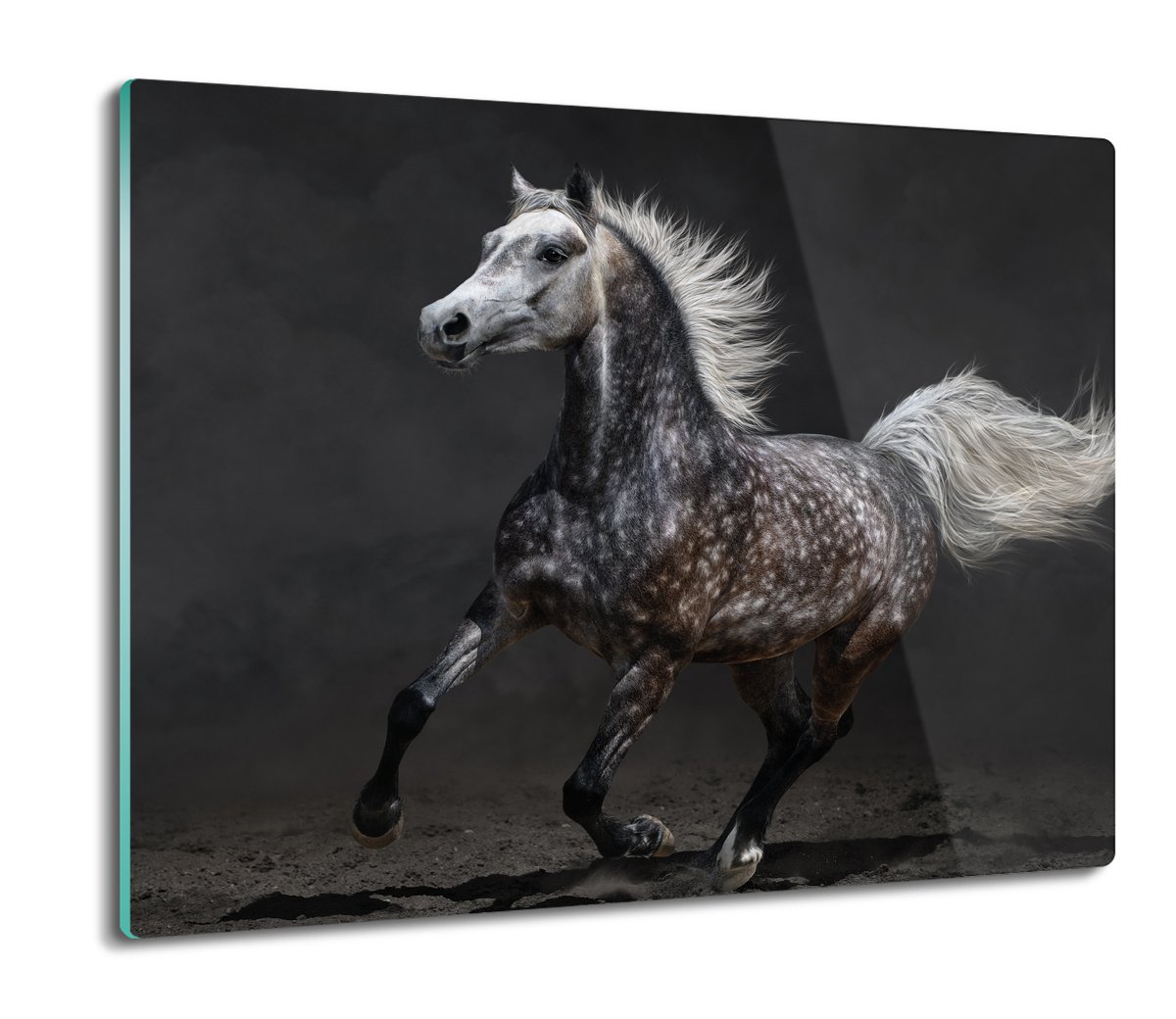 osłona splashback ze szkła Koń galop noc 60x52, ArtprintCave