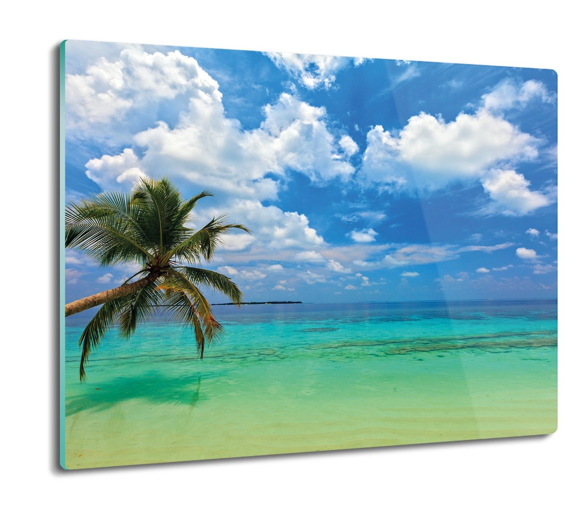 płyty ochronne na indukcję Plaża palma morze 60x52, ArtprintCave