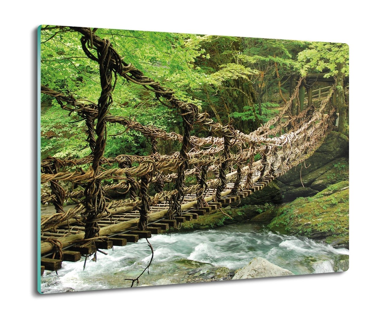 szklana osłona kuchenna Most liany Japonia 60x52, ArtprintCave