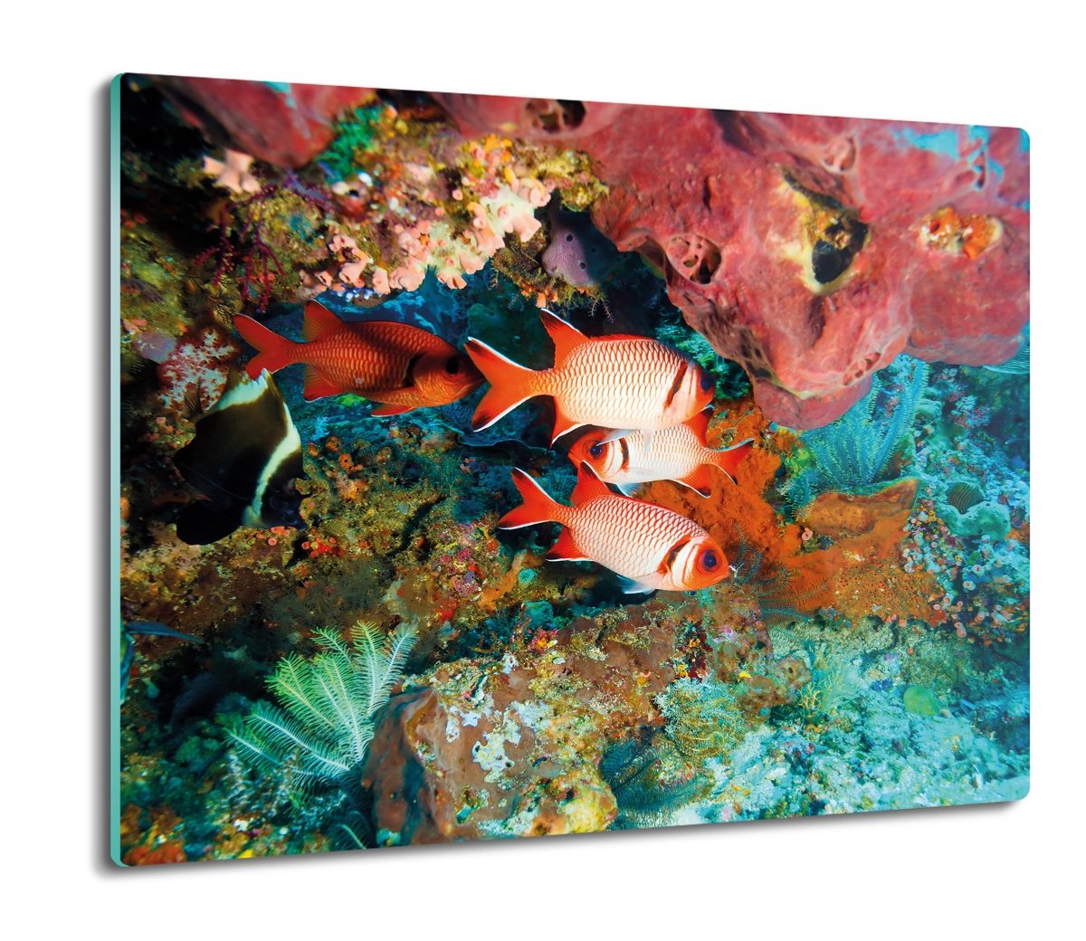 płyty ochronne na indukcję Ryby rafa woda 60x52, ArtprintCave