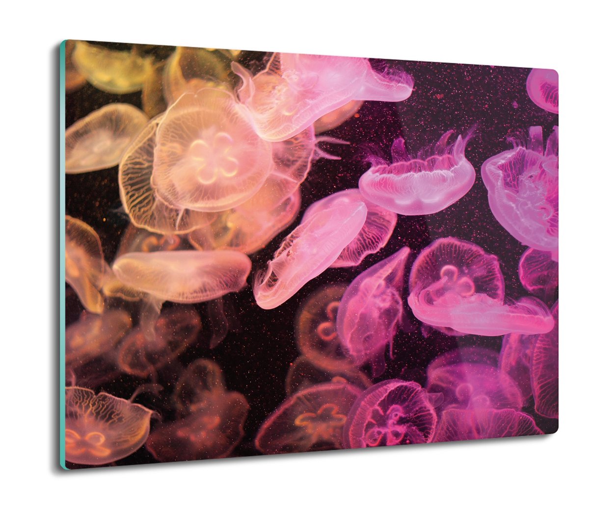osłona splashback do kuchni Kolorowe meduzy 60x52, ArtprintCave