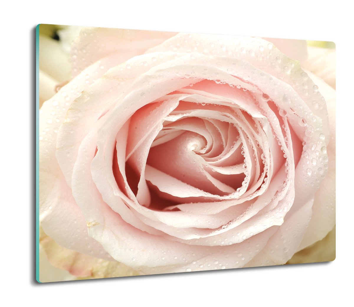 osłona na płytę indukcyjną Róża pąk rosa 60x52, ArtprintCave