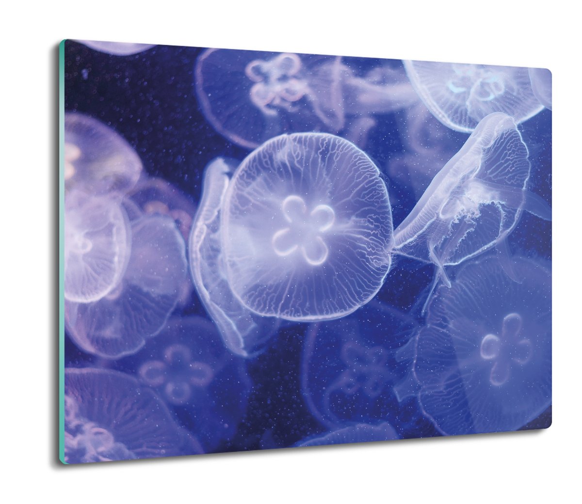 z foto osłona splashback Meduza ocean morze 60x52, ArtprintCave