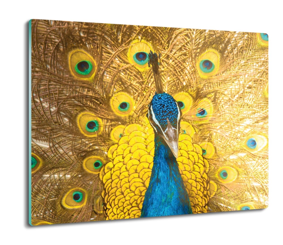 osłona na kuchenkę indukcyjną Kolorowy paw 60x52, ArtprintCave