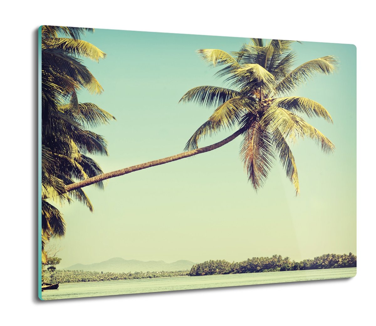 osłona na płytę indukcyjną Palma woda niebo 60x52, ArtprintCave