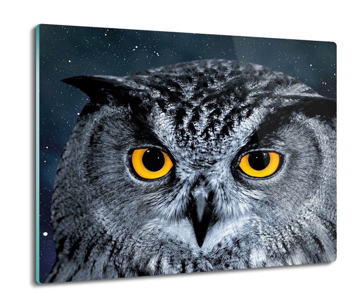deska splashback z foto Głowa sowy gwiazdy 60x52, ArtprintCave