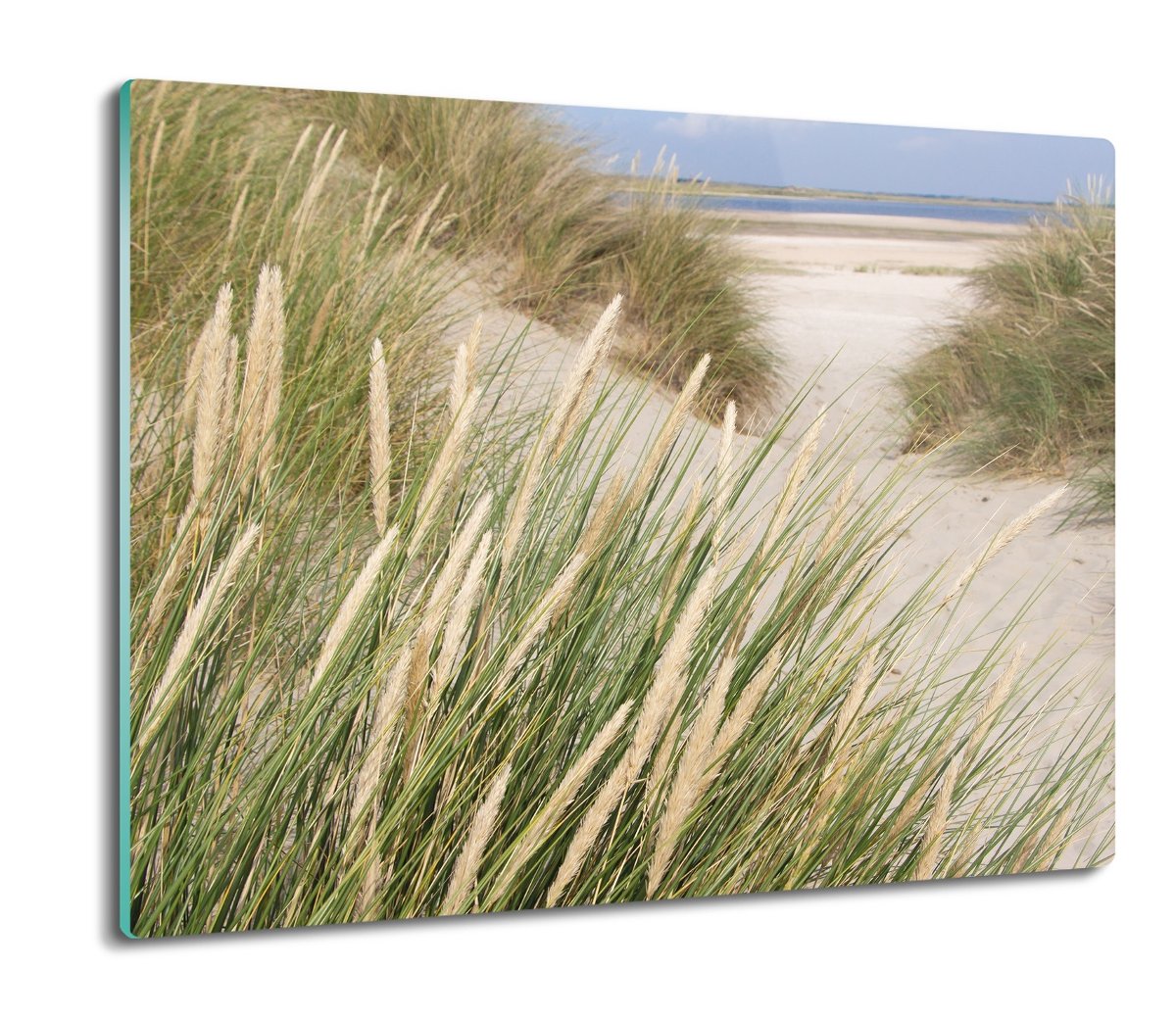 szklana osłona kuchenna Trawy plaża piasek 60x52, ArtprintCave