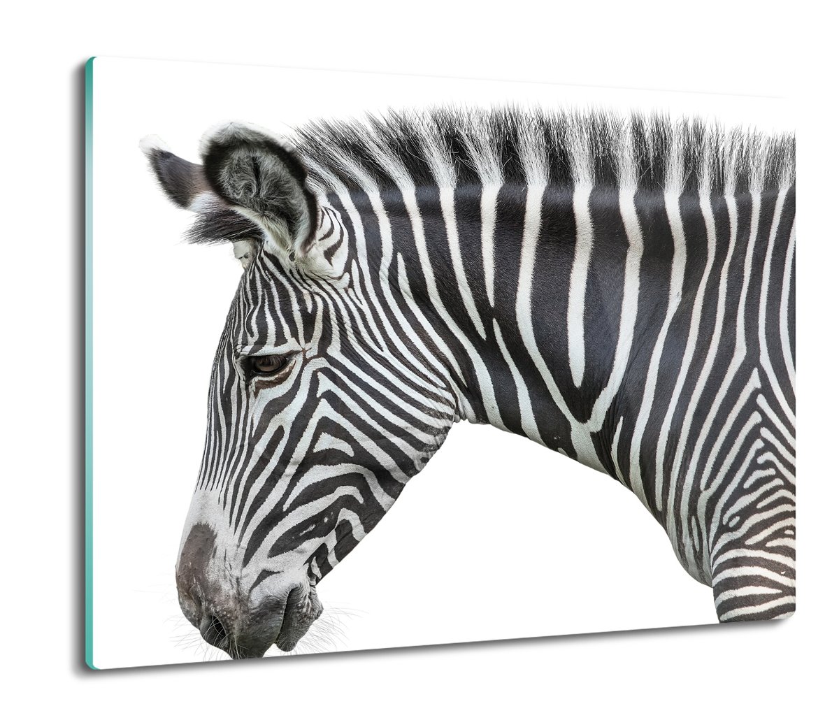 osłona na indukcję szklana Zebra głowa pasy 60x52, ArtprintCave