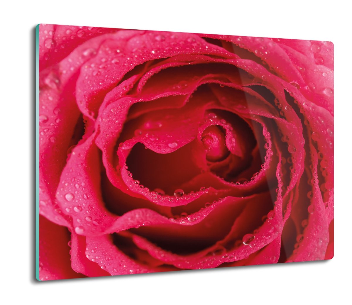 druk osłona na indukcję Róża makro płatki 60x52, ArtprintCave