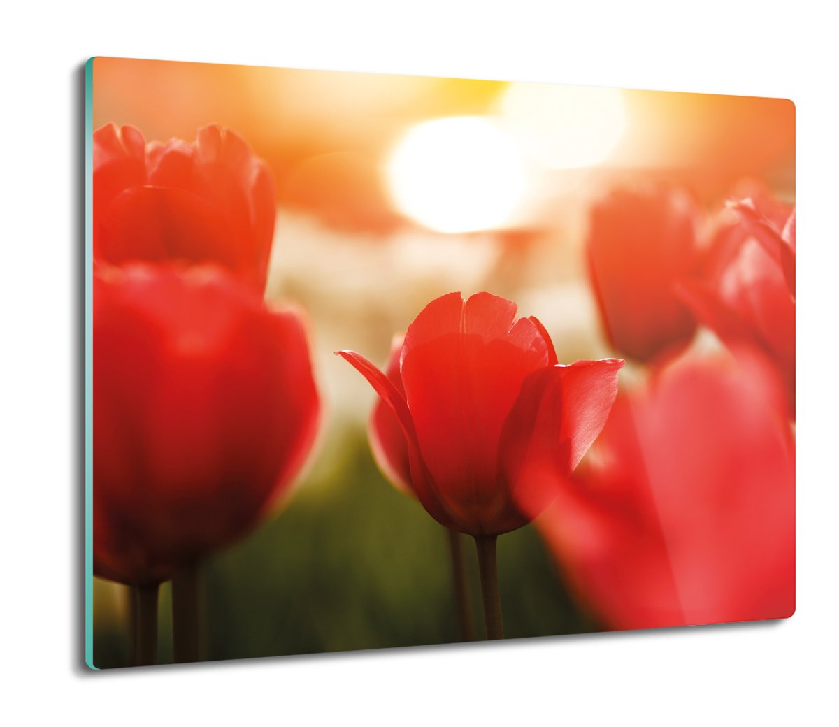 płyty ochronne na indukcję Tulipany słońce 60x52, ArtprintCave
