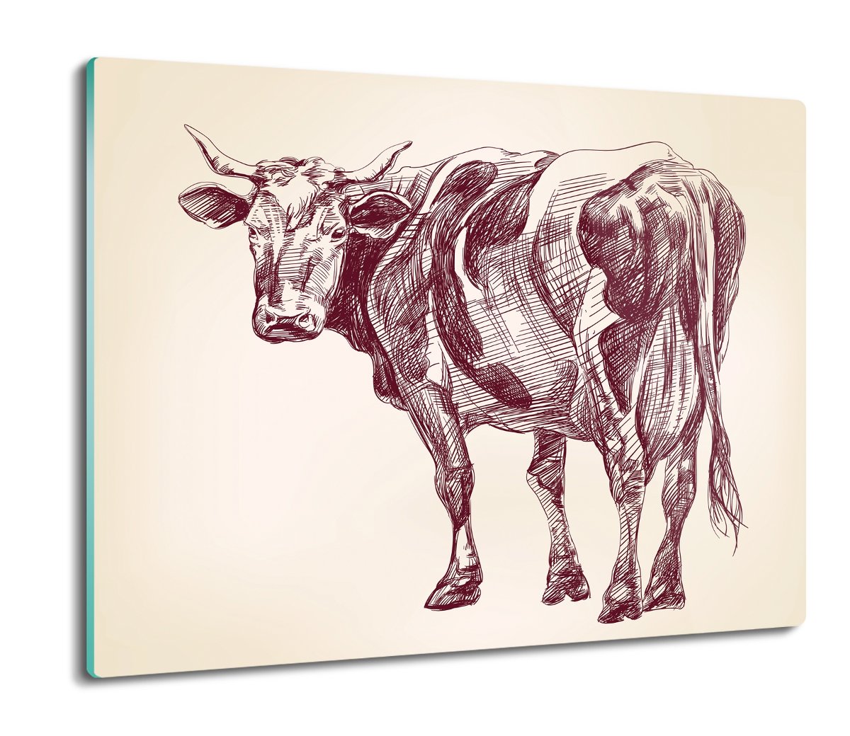ochrona na indukcję druk Krowa grafika szkic 60x52, ArtprintCave