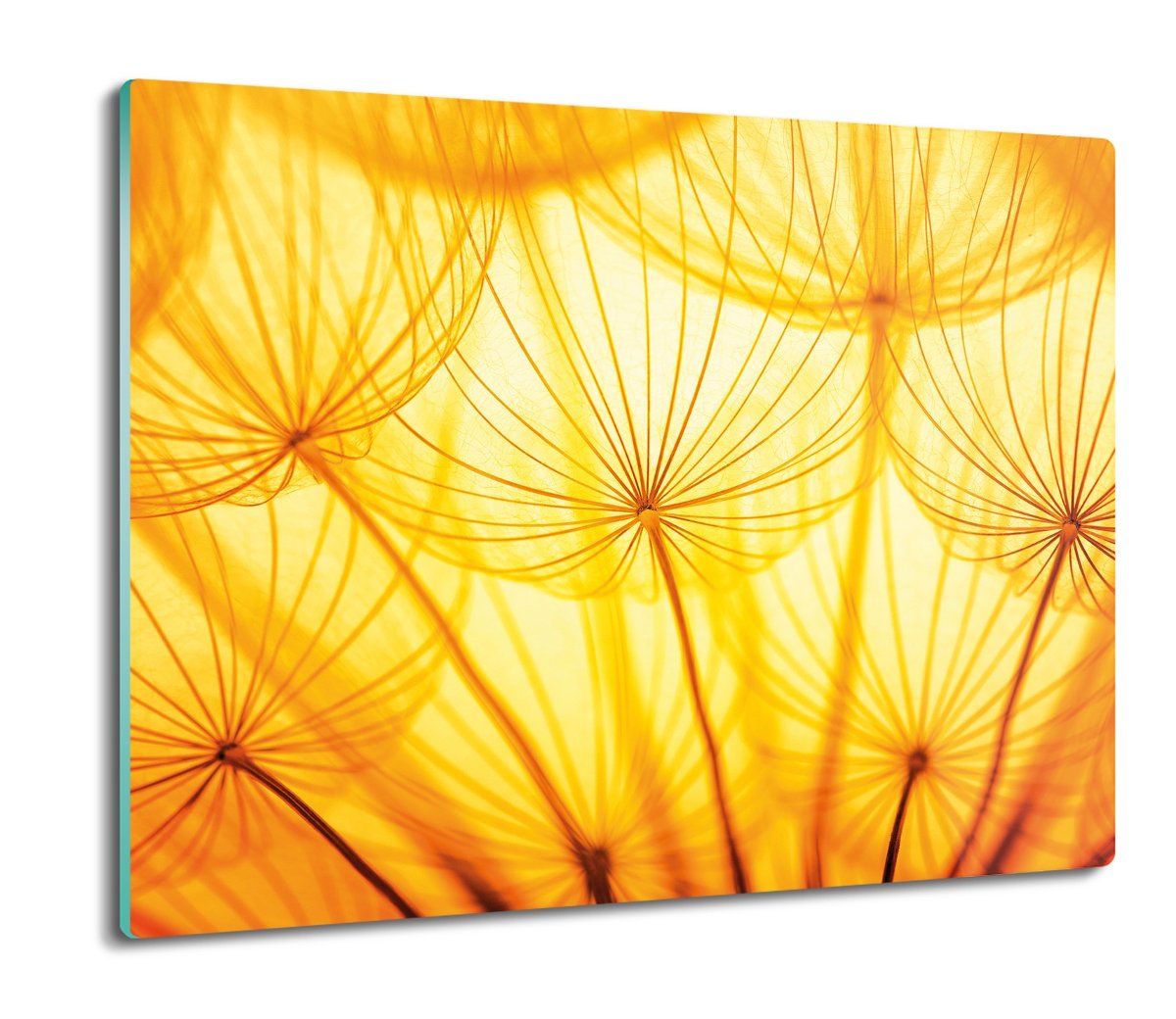 ze szkła splashback z foto Surowe poziom 60x52, ArtprintCave