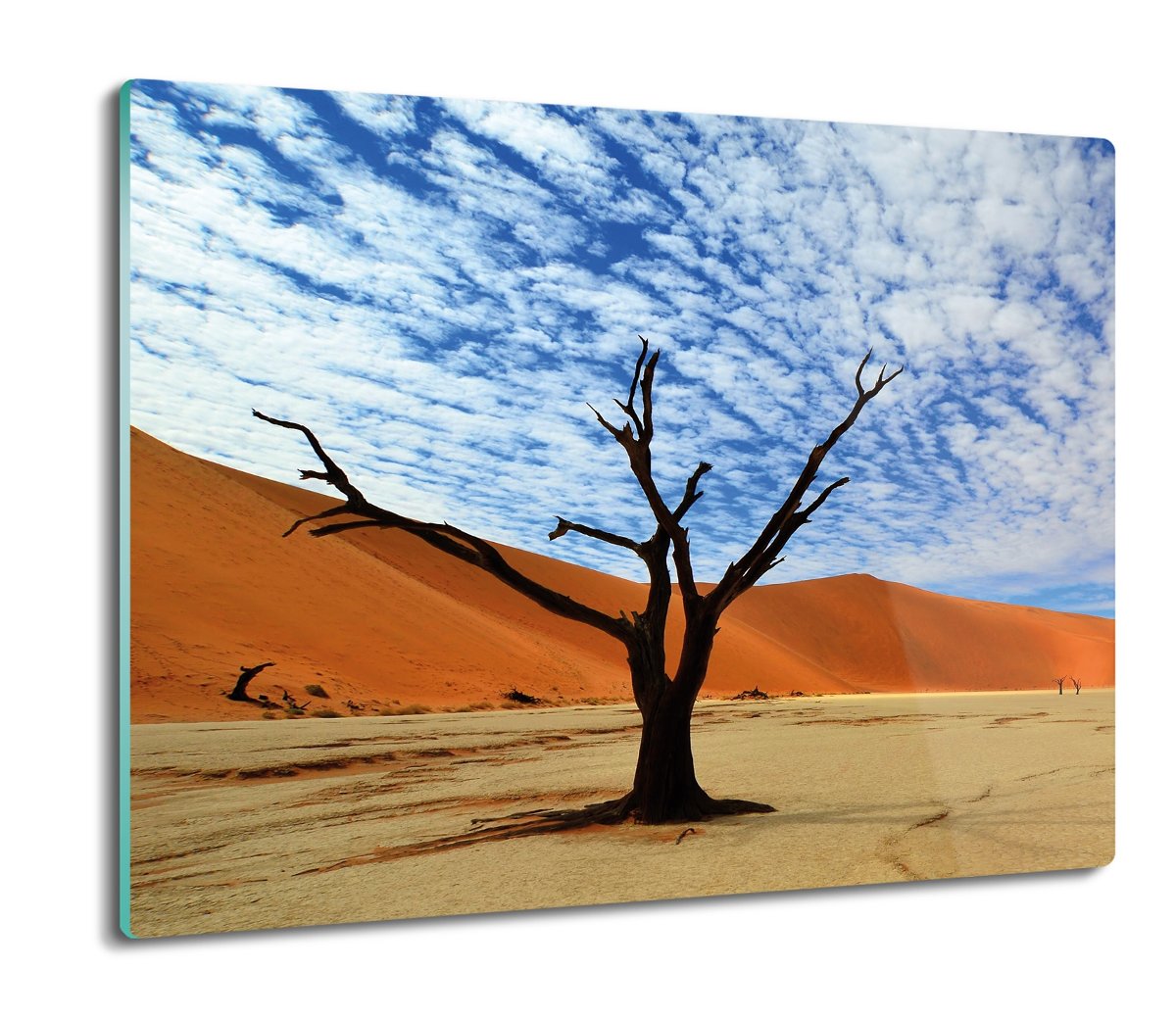 osłonka kuchenna szklana Plaża drzewo chmury 60x52, ArtprintCave