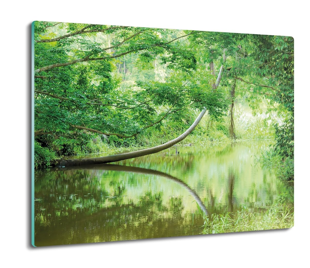 osłona do kuchenki szklana Dżungla Australia 60x52, ArtprintCave