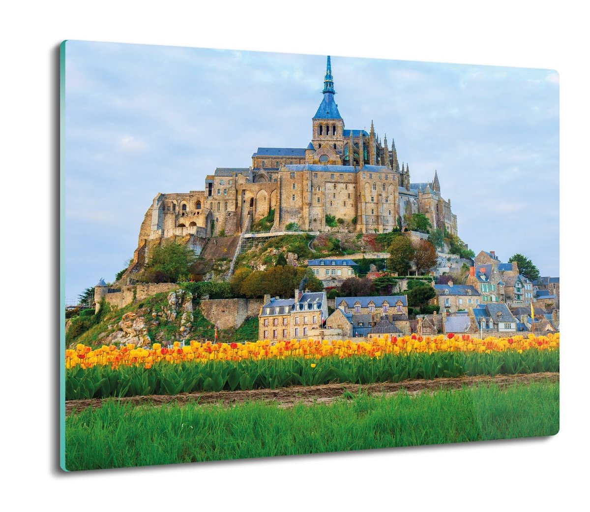 szklana osłona kuchenna Zamek kwiaty widok 60x52, ArtprintCave