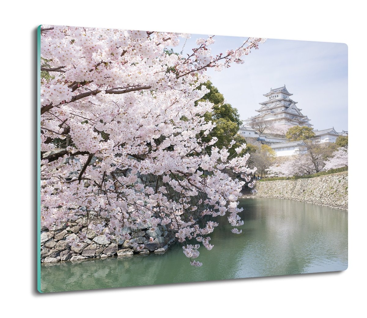 szklana osłona kuchenna Wiosna Japonia kwiat 60x52, ArtprintCave
