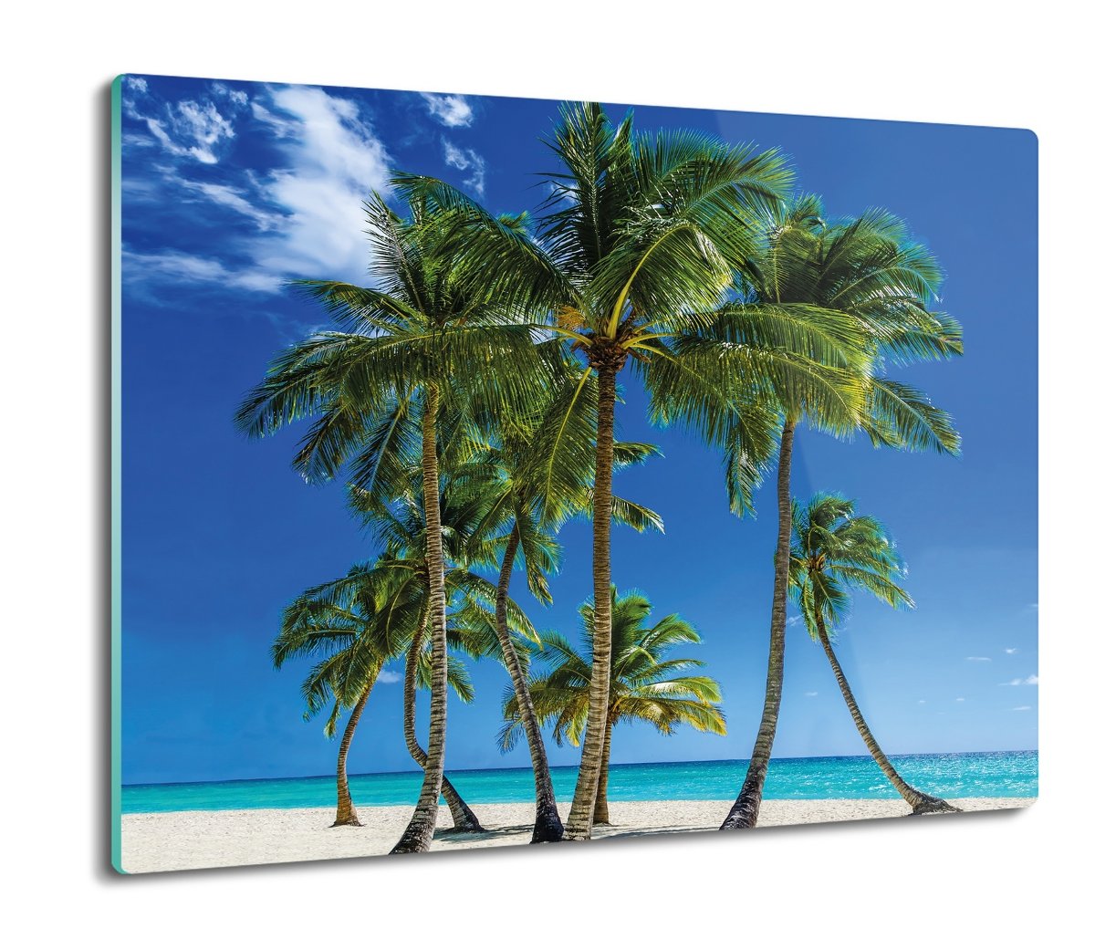 deska splashback z foto Palmy plaża ocean 60x52, ArtprintCave