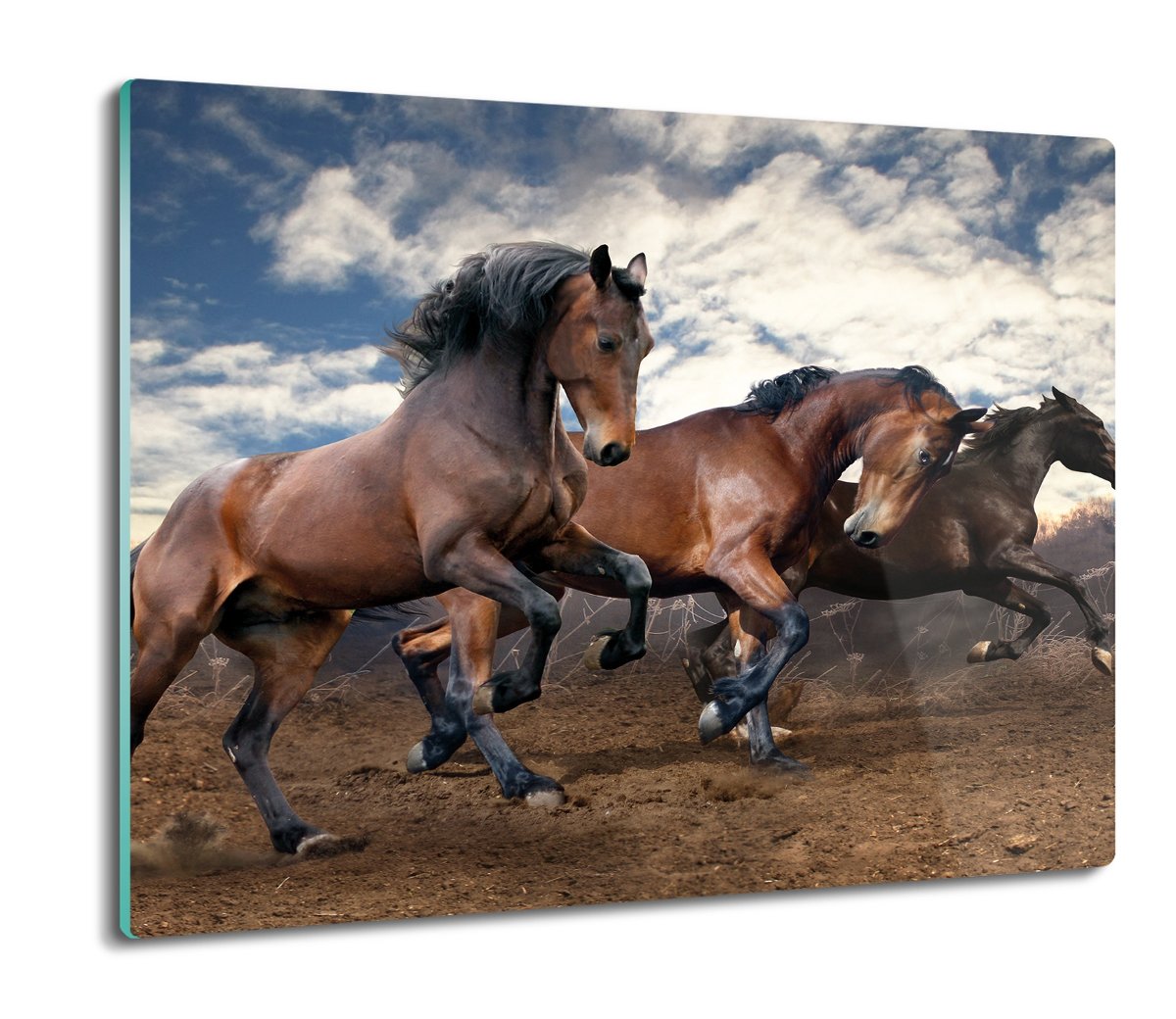 osłona na płytę indukcyjną Konie galop niebo 60x52, ArtprintCave