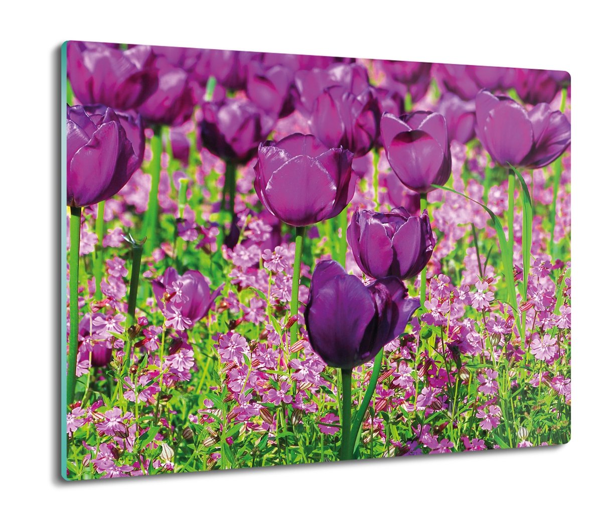 z foto osłona na indukcję Tulipany łąka pole 60x52, ArtprintCave