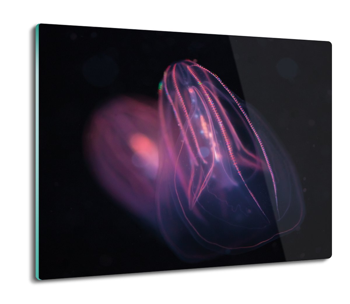 druk osłonka z nadrukiem Świecąca meduza 60x52, ArtprintCave