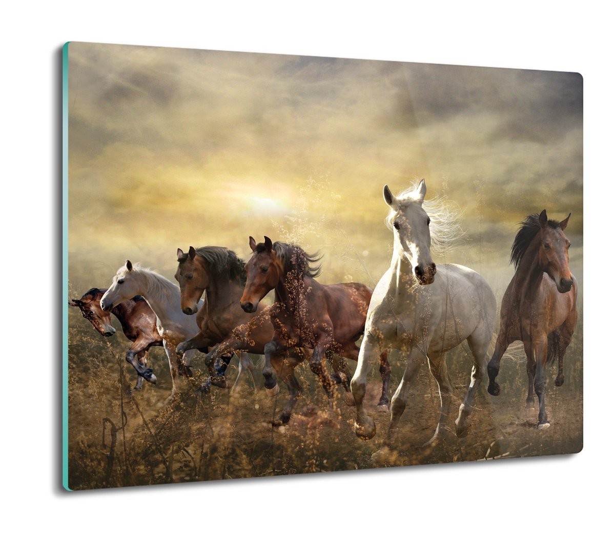 z foto ochrona na indukcję Konie galop stado 60x52, ArtprintCave